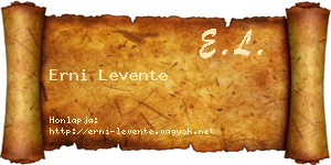Erni Levente névjegykártya